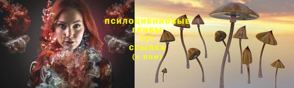 MDMA Грязи