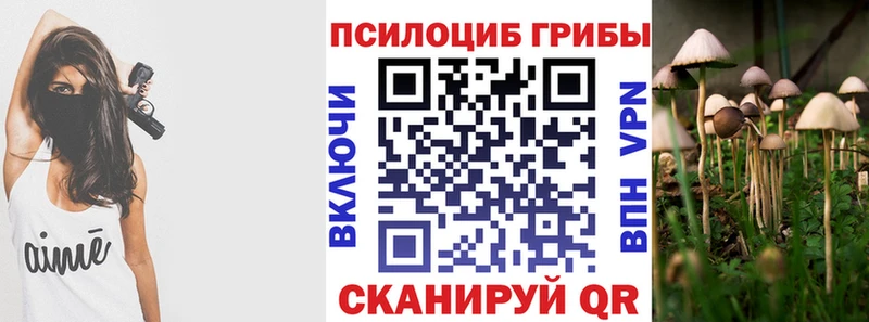 Галлюциногенные грибы прущие грибы  Касли 